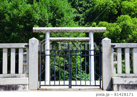 野中ボケ山古墳 81428171