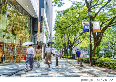 東京渋谷の都市風景　表参道 81428172