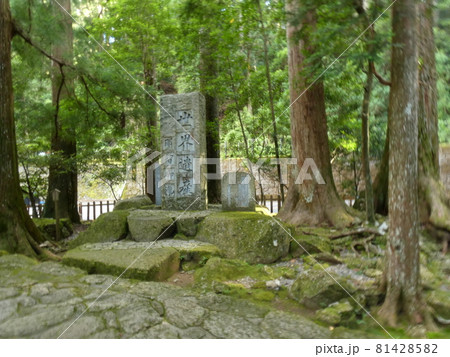 那智の瀧につづく石畳と石碑・飛瀧神社 那智の瀧につづく石畳と石碑・飛瀧神社 81428582