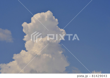 入道雲 81429043