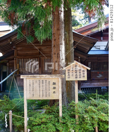白山比咩神社 81429312