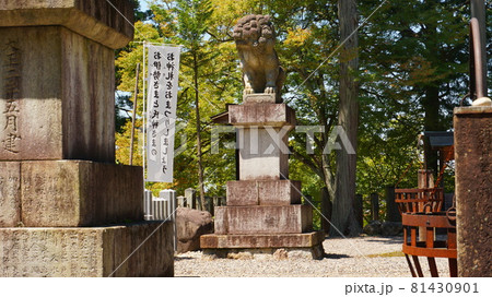 狛犬と参道 狛犬と参道 81430901