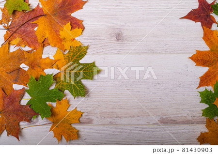 Multicolored maple leaves on a wooden background. Copy space Multicolored maple leaves on a wooden background. Copy space 81430903