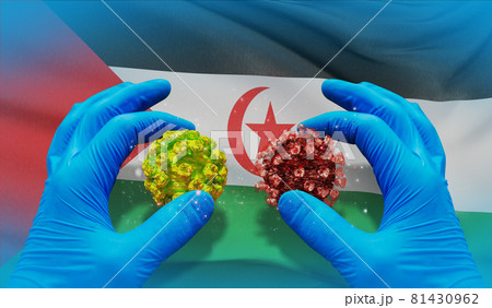 Medical virus molecular concept with flag of Sahrawi Arab Democratic Republic. 3D illustration. Medical virus molecular concept with flag of Sahrawi Arab Democratic Republic. 3D illustration. 81430962