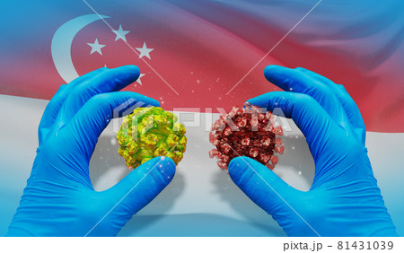 Medical virus molecular concept with flag of Singapore. 3D illustration. Medical virus molecular concept with flag of Singapore. 3D illustration. 81431039