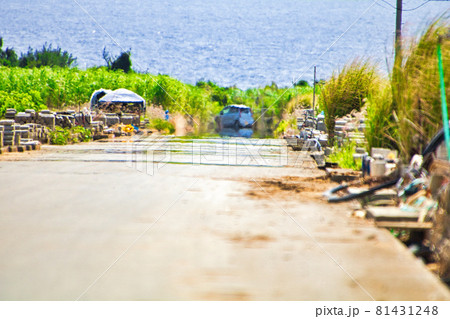 夏の蜃気楼 夏の蜃気楼 81431248