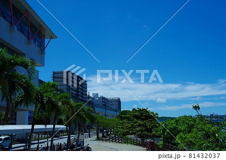 沖縄県　那覇市内の街並み　自然が多い　奥武山公園　国場川 81432037