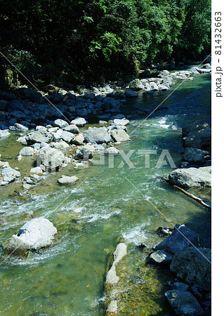 小さな川の流れ 山の小川 川遊び 岩場を流れる川の写真素材