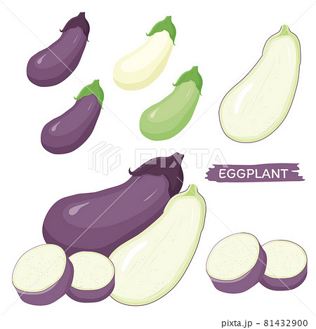 ナスセット 81432900