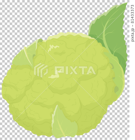 Green cauliflower 81433373