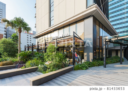 KAWASAKI DELTA（カワサキ デルタ） 81433653