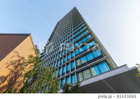 KAWASAKI DELTA（カワサキ デルタ） 81433663