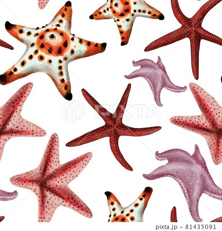 Watercolor illustration of starfish seamless pattern on background 81435091