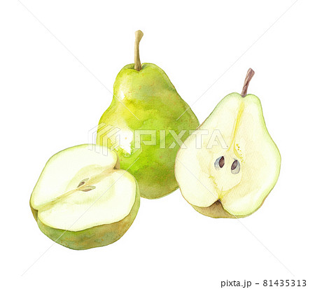 秋のフルーツ：3種の西洋梨の水彩イラスト。葉なし。 81435313