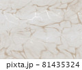 ニュアンスカラーの大理石調の背景素材 81435324