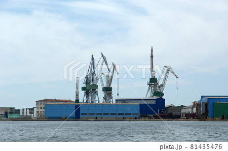 Marine cargo port. Cranes. Pula, Croatia 81435476