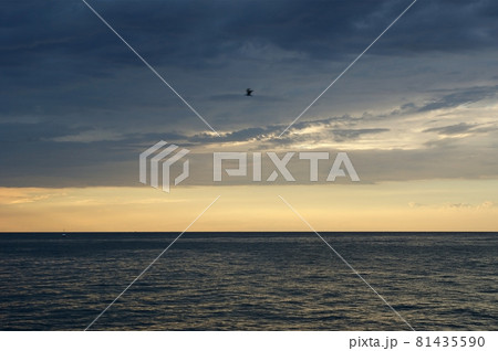 abstract ocean and sunset background 81435590