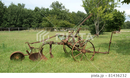 antique plow at a farm in the summer field antique plow at a farm in the summer field 81436232