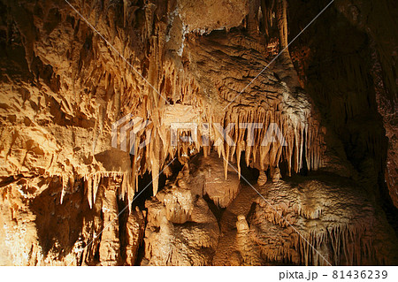 stalactites and stalagmites in a cave stalactites and stalagmites in a cave 81436239