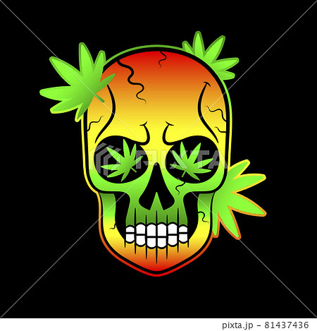 Cannabis leafs and skull on black grunge Cannabis leafs and skull on black grunge 81437436