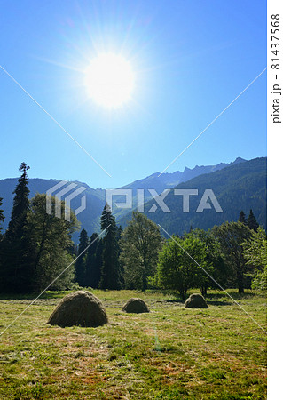 Landscape with haystacks in mountain meadow 81437568