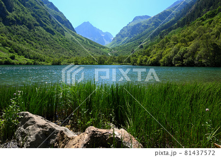 Summer landscape with lake in mountains 81437572