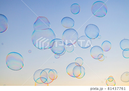 シャボン玉(夏)2021 81437761