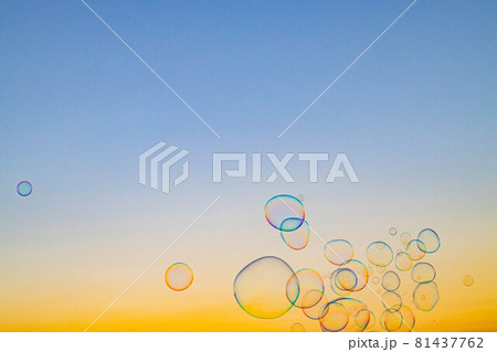 シャボン玉(夏)2021 81437762