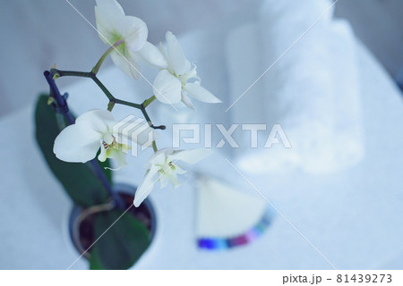 Beautiful white orchid, nail palette and towels in a beauty salon. 81439273
