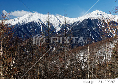 鳳凰三山・杖立峠付近から見る雪煙上がる北岳と間ノ岳 鳳凰三山・杖立峠付近から見る雪煙上がる北岳と間ノ岳 81439397