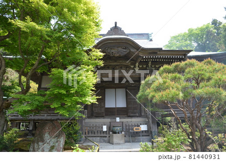 鎌倉 鎌倉 81440931