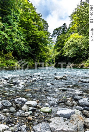 緑と水と岩に囲まれた東京の渓谷奥多摩 緑と水と岩に囲まれた東京の渓谷奥多摩 81440964