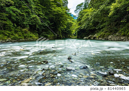 緑と水と岩に囲まれた東京の渓谷奥多摩 緑と水と岩に囲まれた東京の渓谷奥多摩 81440965