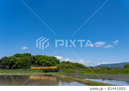 三重県いなべ市のめがね橋を通り過ぎる三岐鉄道北勢線の黄色い軽便鉄道 三重県いなべ市のめがね橋を通り過ぎる三岐鉄道北勢線の黄色い軽便鉄道 81441003