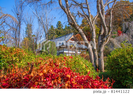 長瀞七草寺 法善寺 秋の風景 紅葉の季節   長瀞七草寺 法善寺 秋の風景 紅葉の季節   81441122