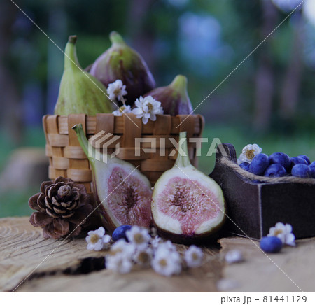 果物盛り合わせ 果物盛り合わせ 81441129