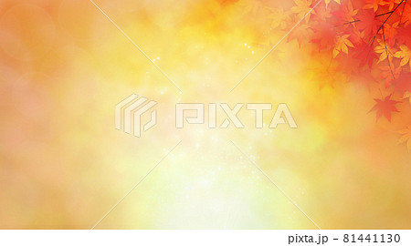 紅葉　背景素材 81441130