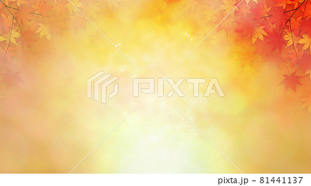 紅葉　背景素材 81441137