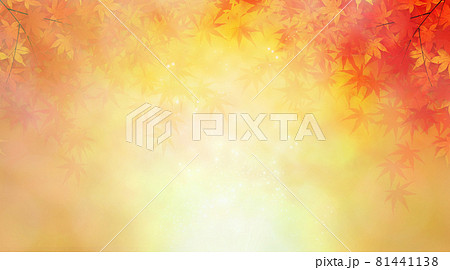 紅葉　背景素材 81441138