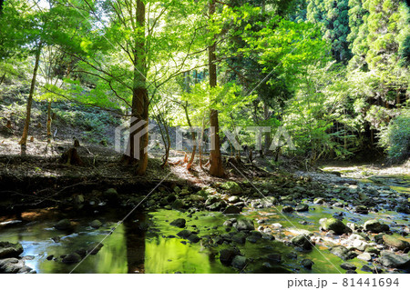 赤目四十八滝のハイキング道 81441694