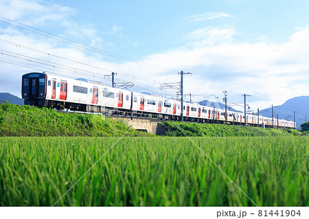 田園風景と通勤電車（JR九州 821系） 81441904
