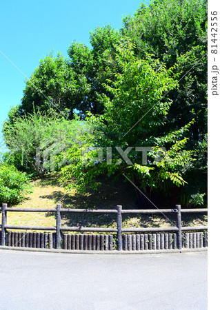 蕃所山古墳 蕃所山古墳 81442556