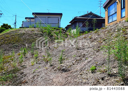 サンド山古墳 サンド山古墳 81443088