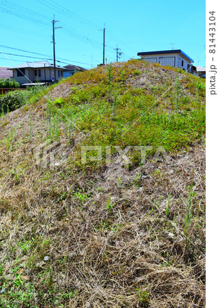 サンド山古墳 サンド山古墳 81443104