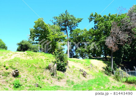 鉢塚古墳【世界遺産】 鉢塚古墳【世界遺産】 81443490