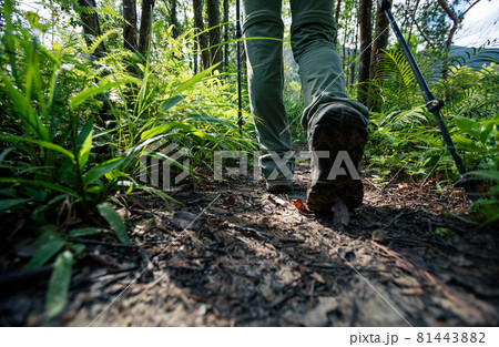 Legs hiking in summer forest mountain 81443882