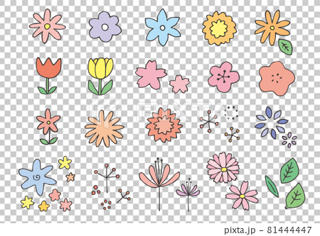 手描きの花イラストのセット（カラー） 81444447
