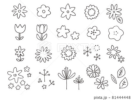 手描きの花イラストのセット（モノクロ） 81444448