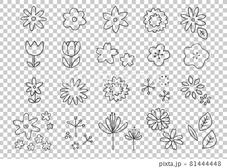手描きの花イラストのセット（モノクロ） 81444448