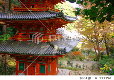 岩船寺三重塔（京都府木津川市） 81444498